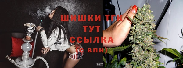 соль курить ск Бородино