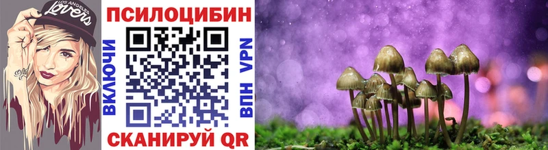 kraken ССЫЛКА  Пыть-Ях  Галлюциногенные грибы мицелий 