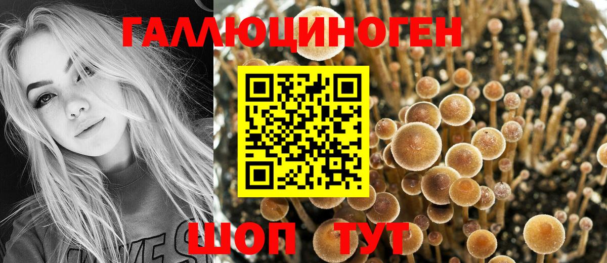 Галлюциногенные грибы прущие грибы Пыть-Ях