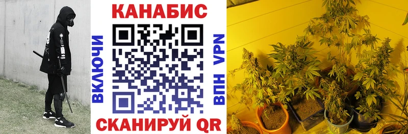 Конопля семена Пыть-Ях